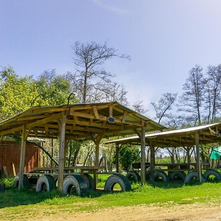 Coyunche Cabanas Y Camping Laja & San Rosendo Exteriér fotografie