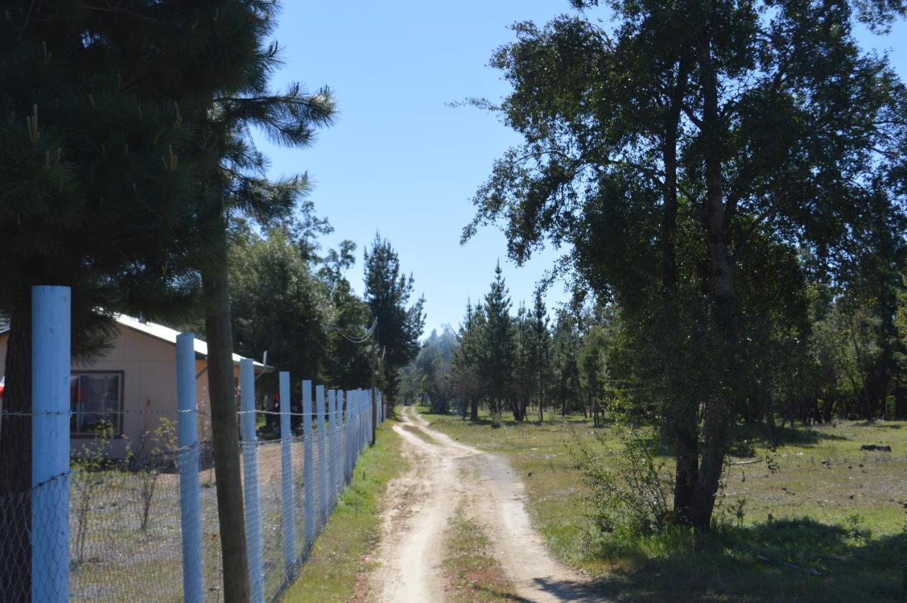 Coyunche Cabanas Y Camping Laja & San Rosendo Exteriér fotografie